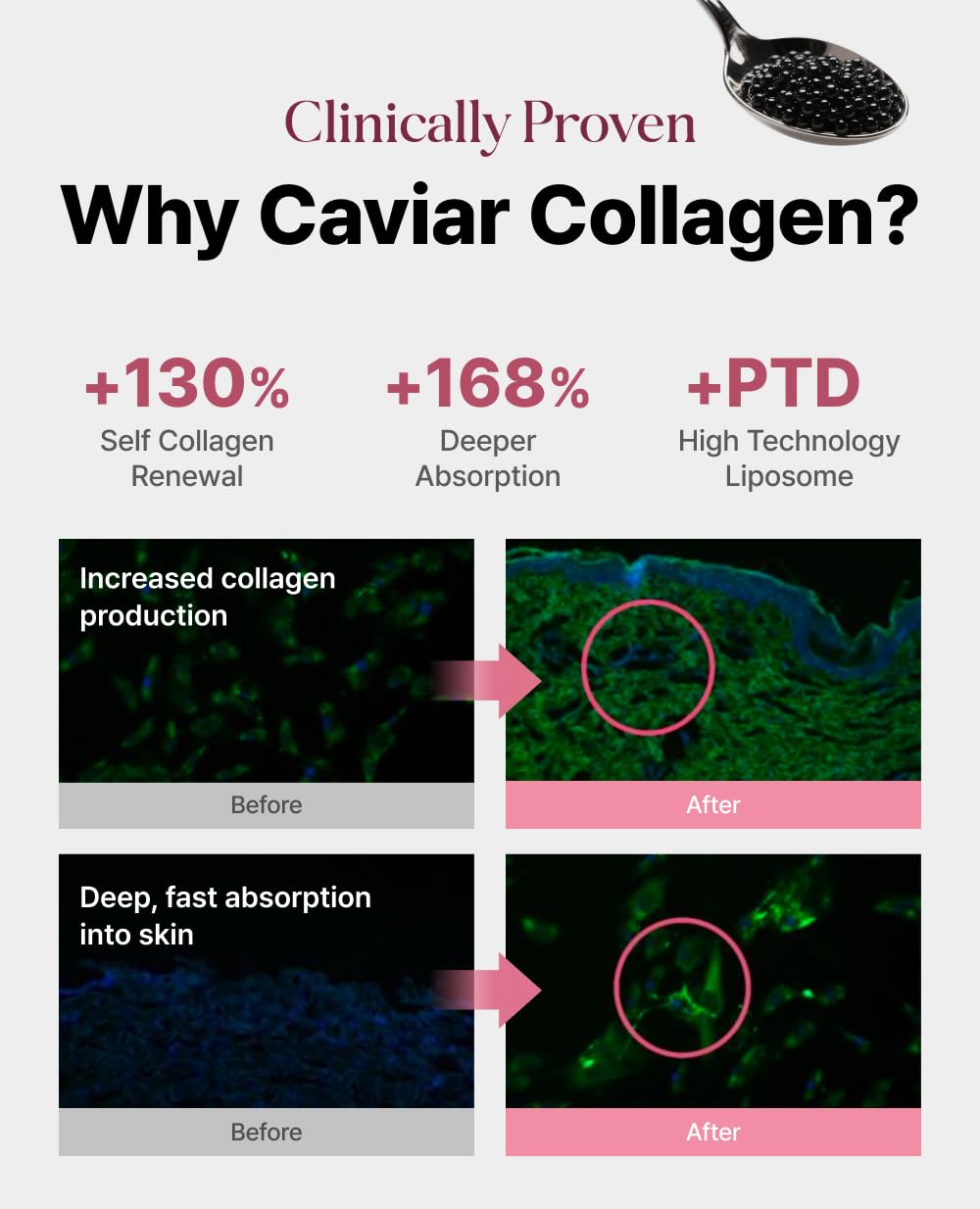 Delere Caviar Glow Dewy Cream | Caviar Collagen Moisturizer
